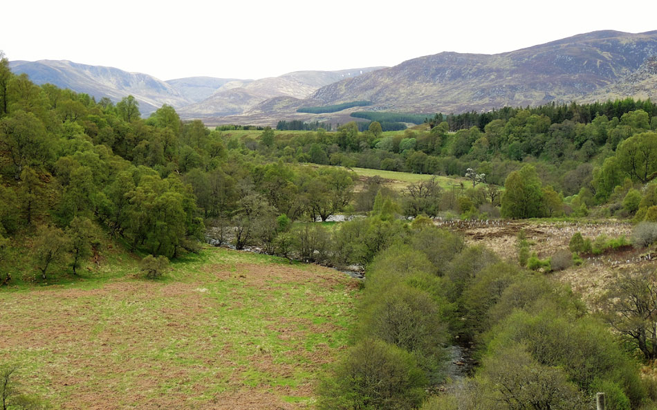 Glen Banchor