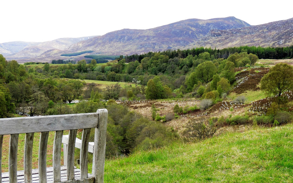 Glen Banchor view